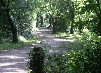 Cogan Woods Cosmeston